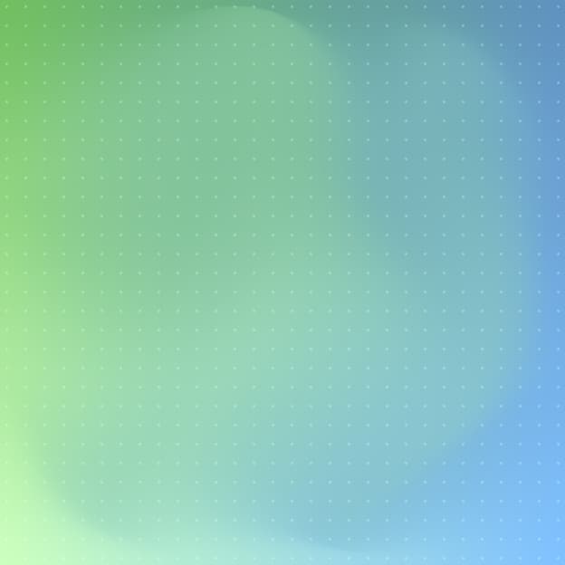 Shopify Insights Solution